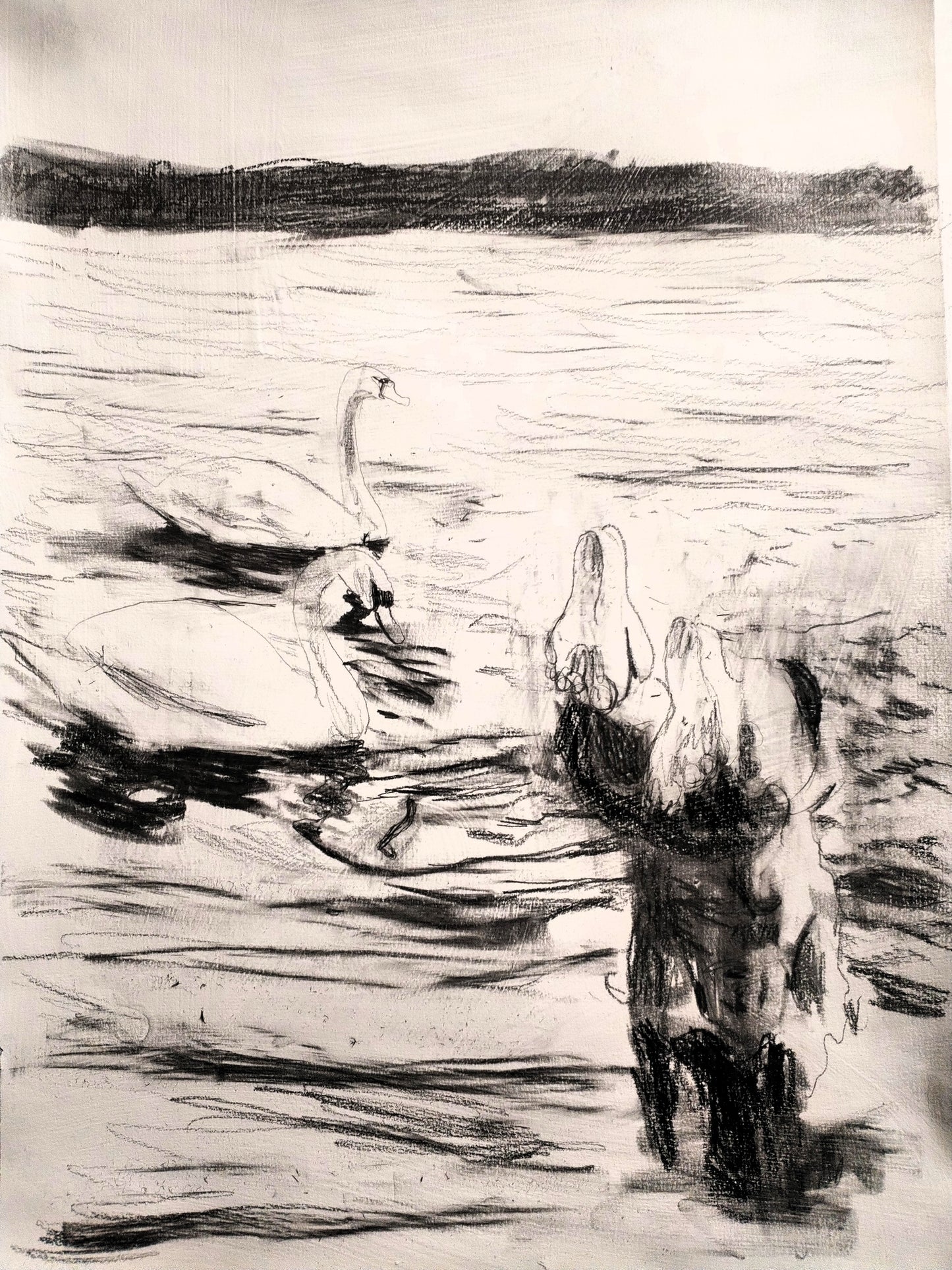 Sketch 12